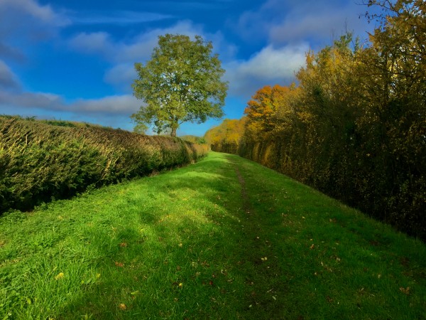 JPT 9810 Digital Download